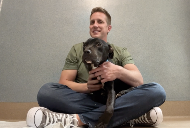 This Emaciated Dog Was Too Weak to Stand—Until a Stranger Gave Him a Name